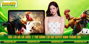 Các Lối Đá Gà Chọi: 7 Thế Đánh Lợi Hại Quyết Định Thắng Bại