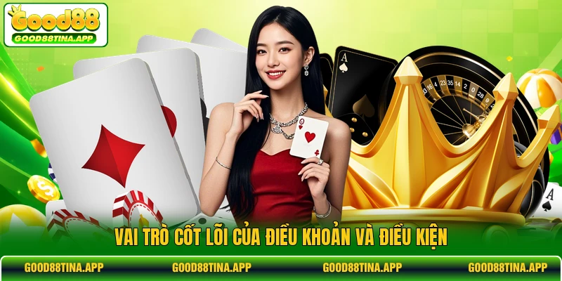 Vai trò cốt lõi của điều khoản và điều kiện